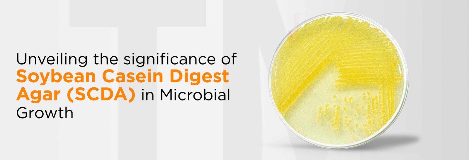 Unveiling the Significance of Soybean Casein Digest Agar (SCDA) in Microbial Growth